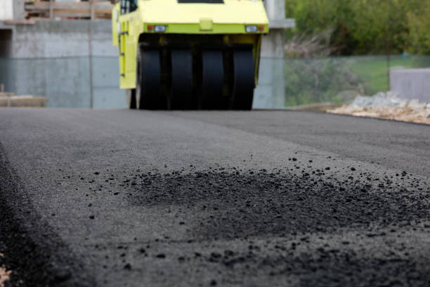 Best Concrete Paver Driveway  in Progreso, TX