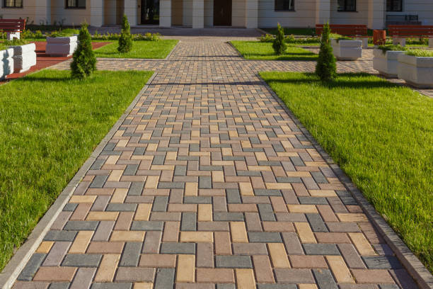 Best Decorative Driveway Pavers  in Progreso, TX
