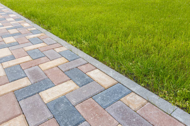 Best Concrete Paver Driveway  in Progreso, TX